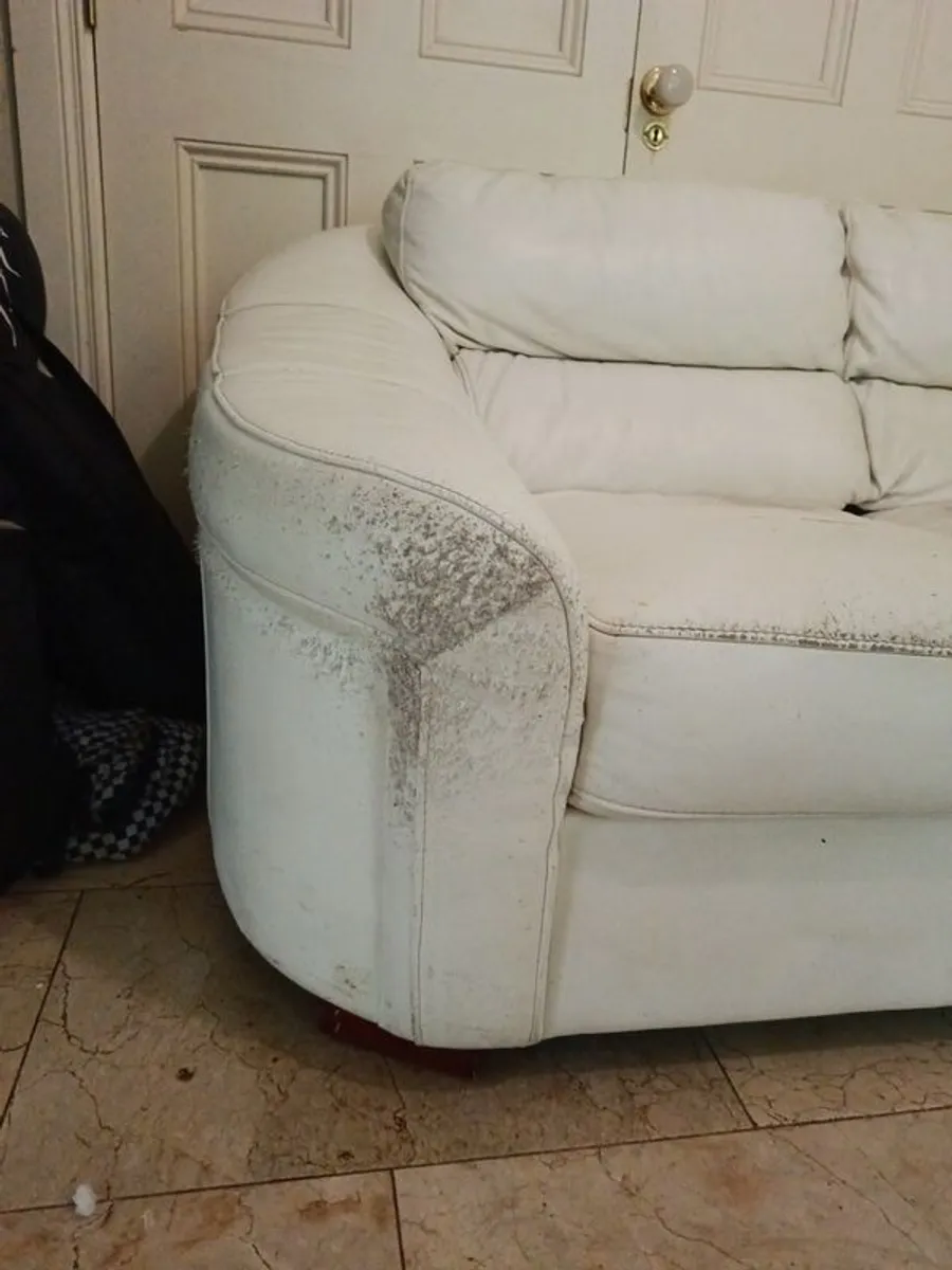 Free couch - Image 3