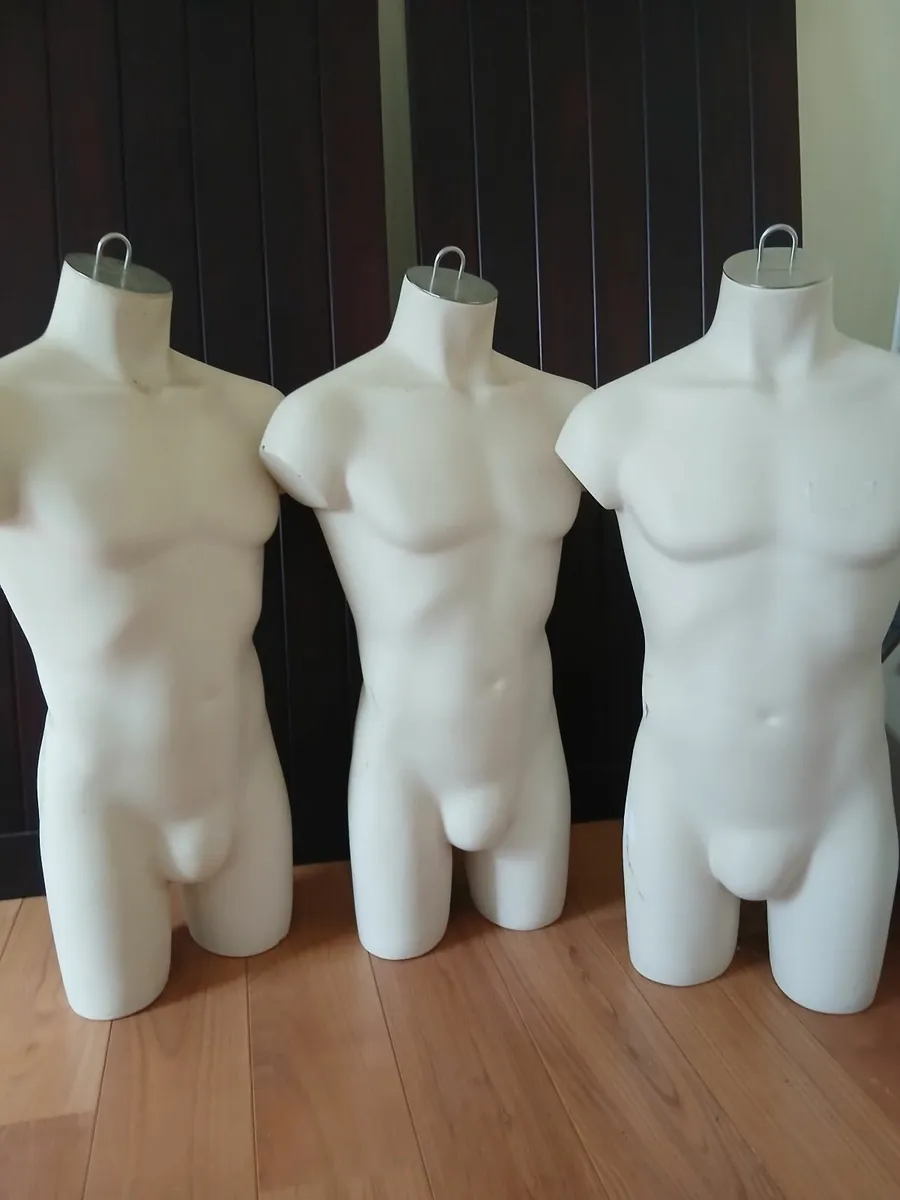 Male Shop mannequins - Image 1