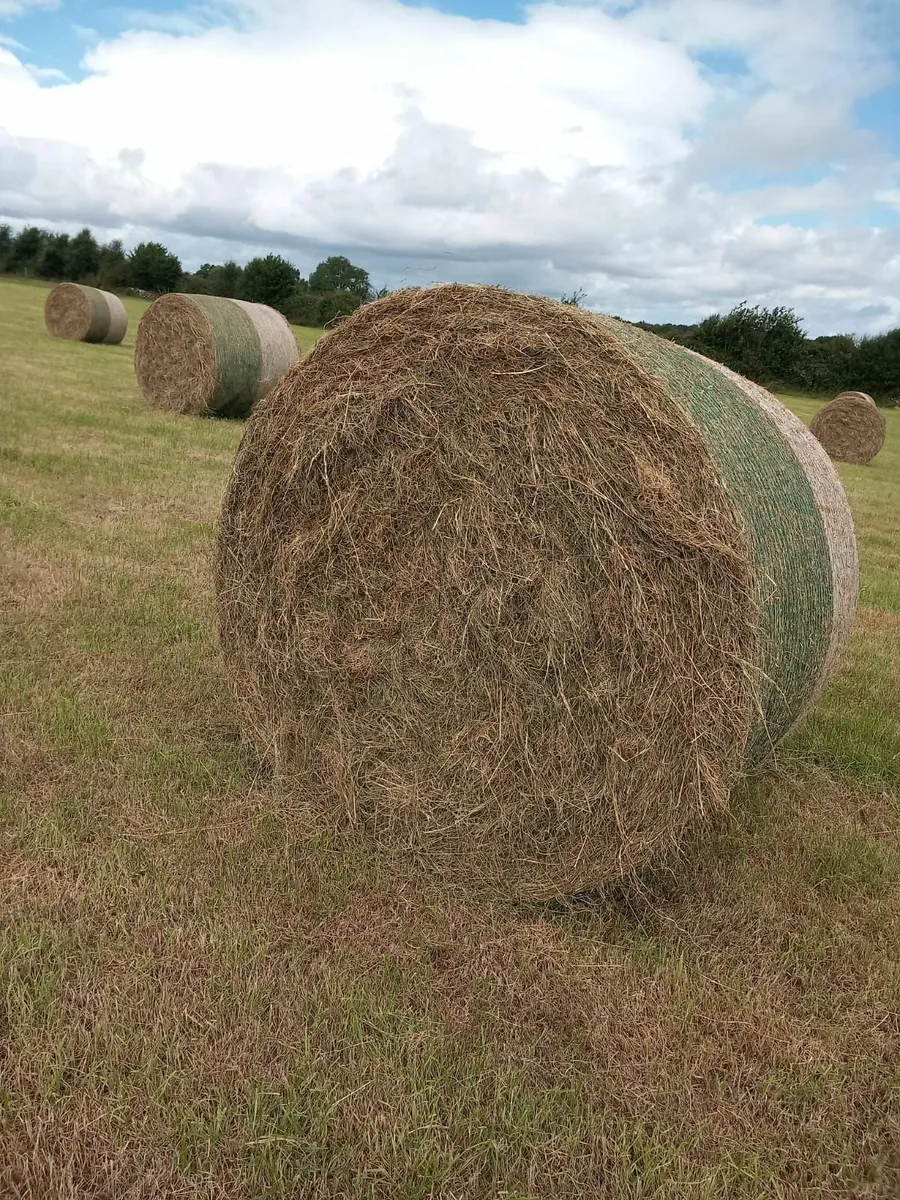Hay and Haylage