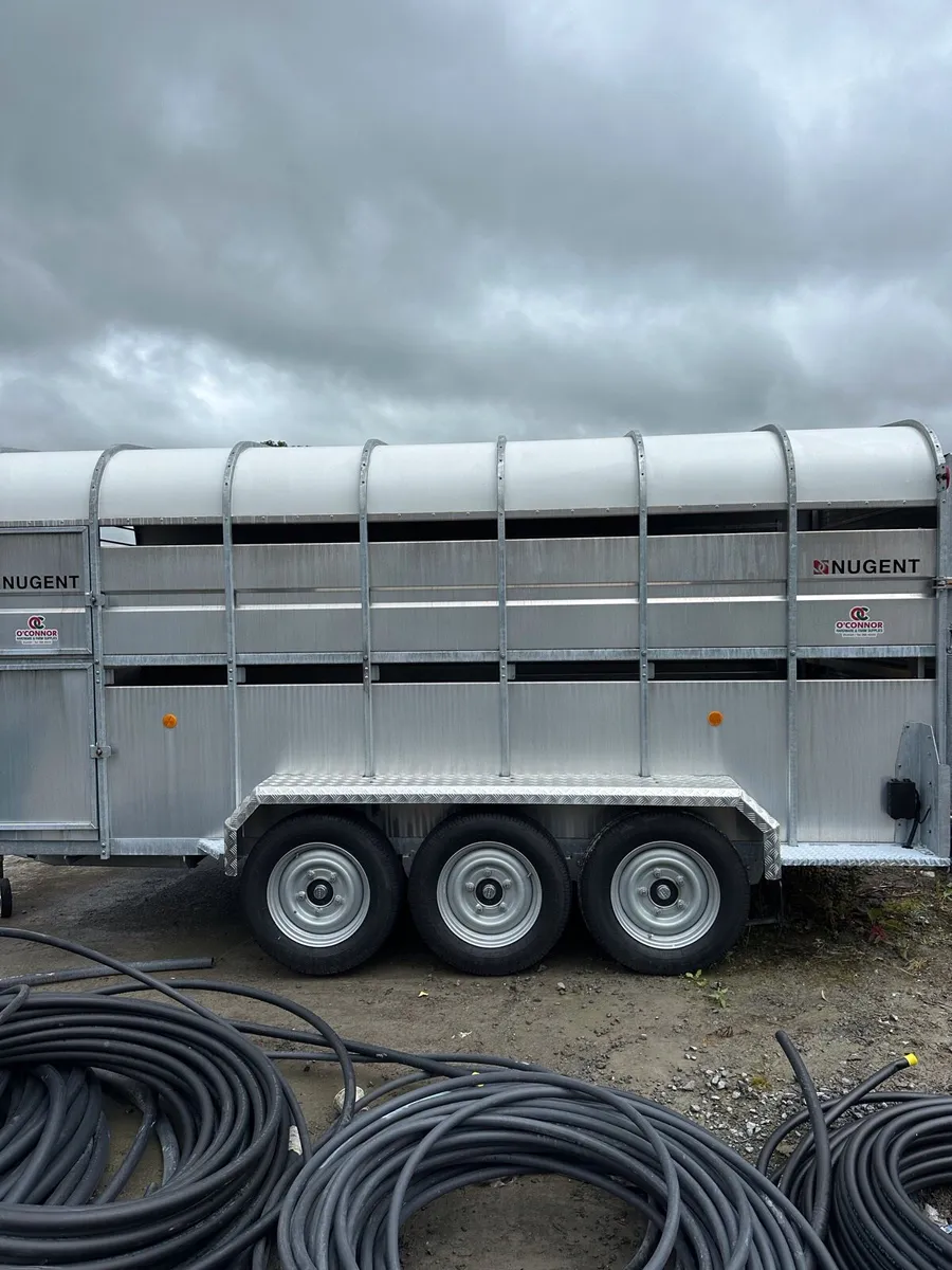 Nugent 14tf cattle trailer - Image 4