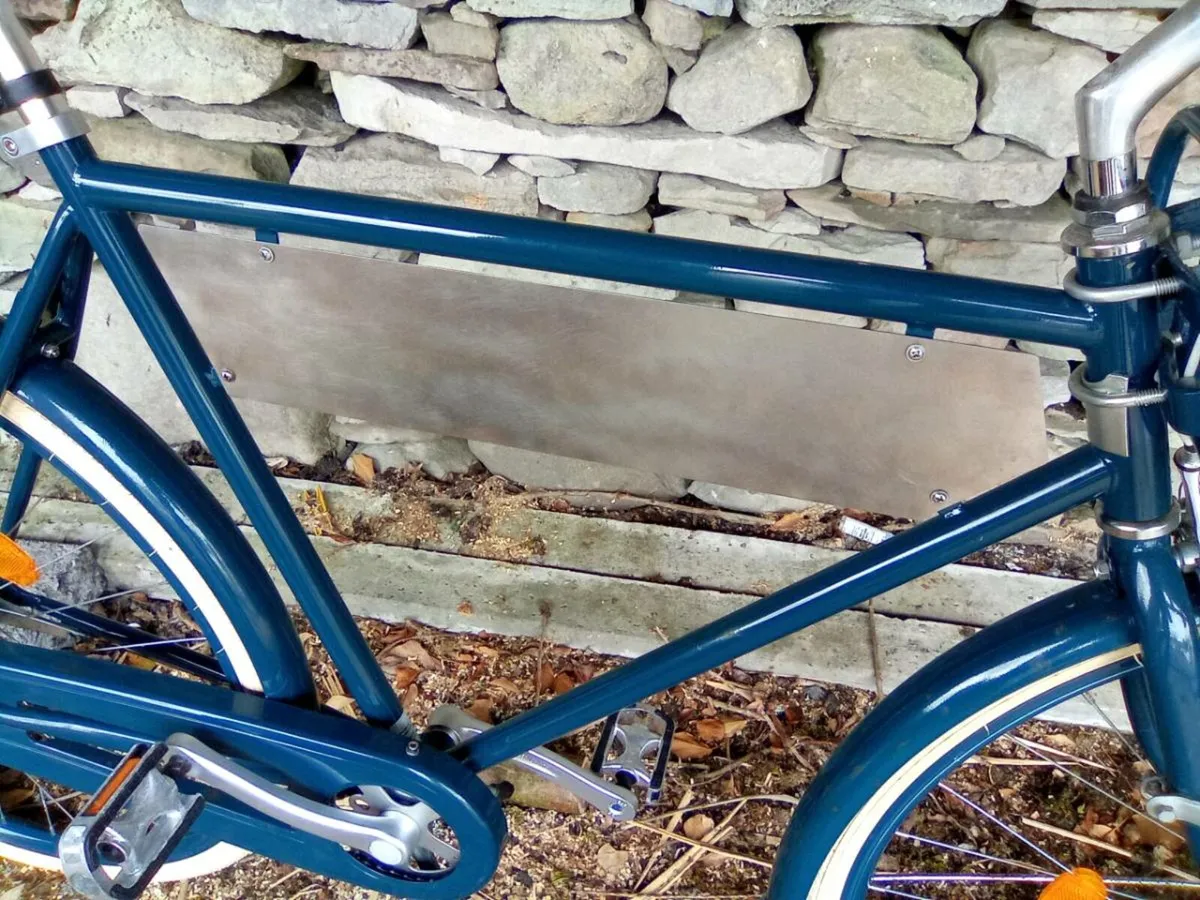 Brand new advertisement bike or personal bike - Image 2