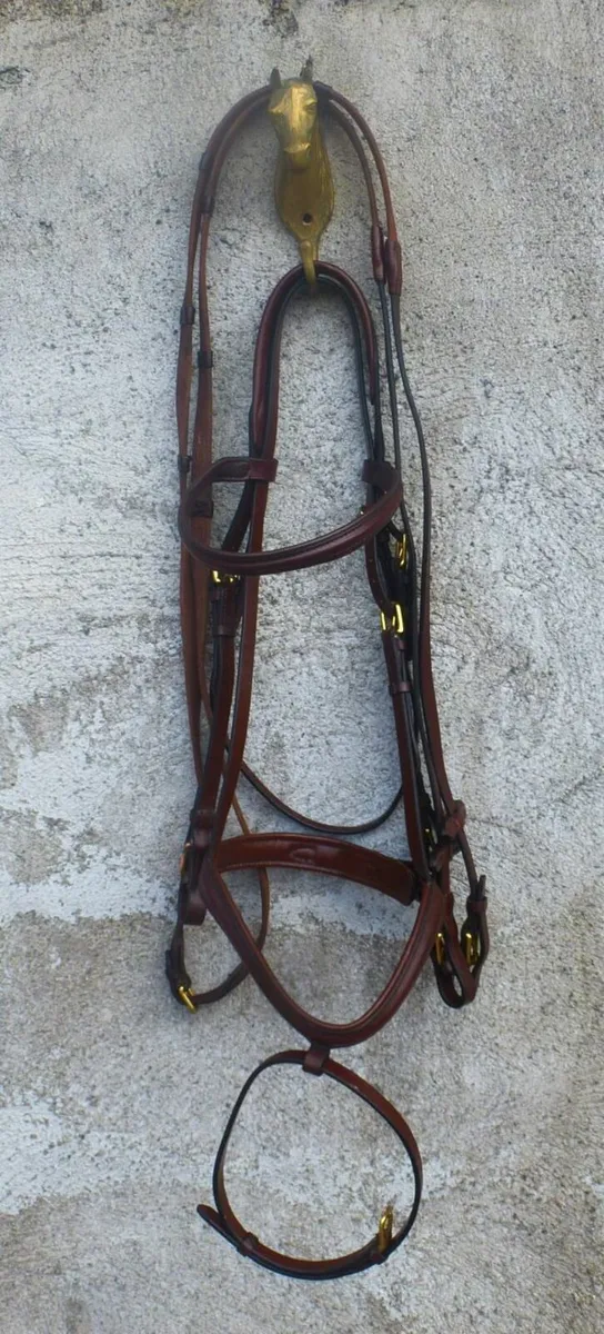 Bridles with Reins and Bits - Image 1