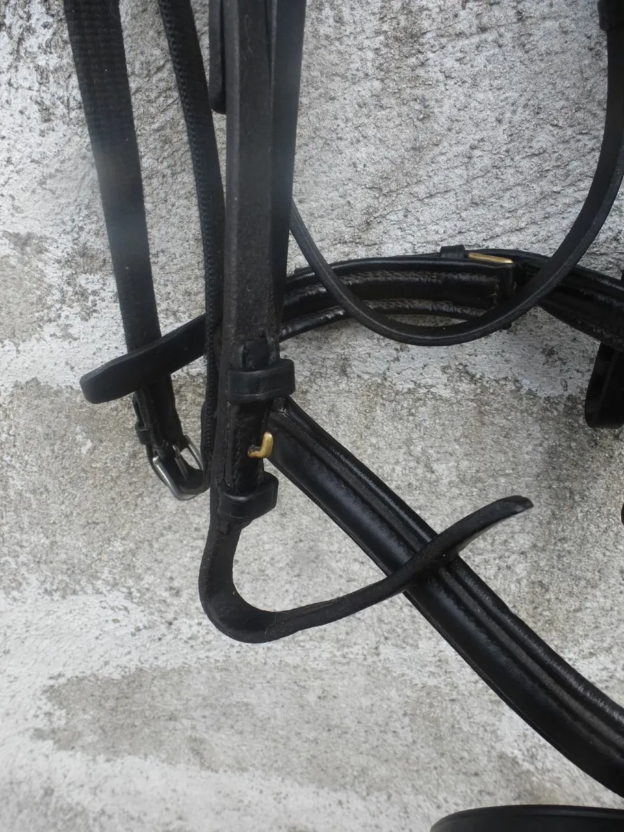 Bridles with Reins and Bits - Image 4