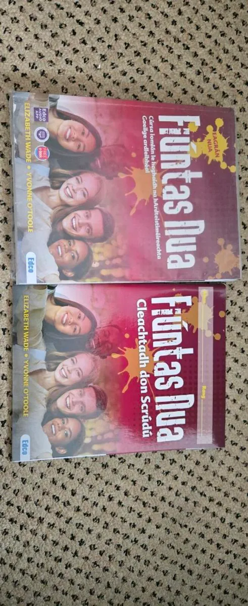 LC Irish Textbook - Image 1