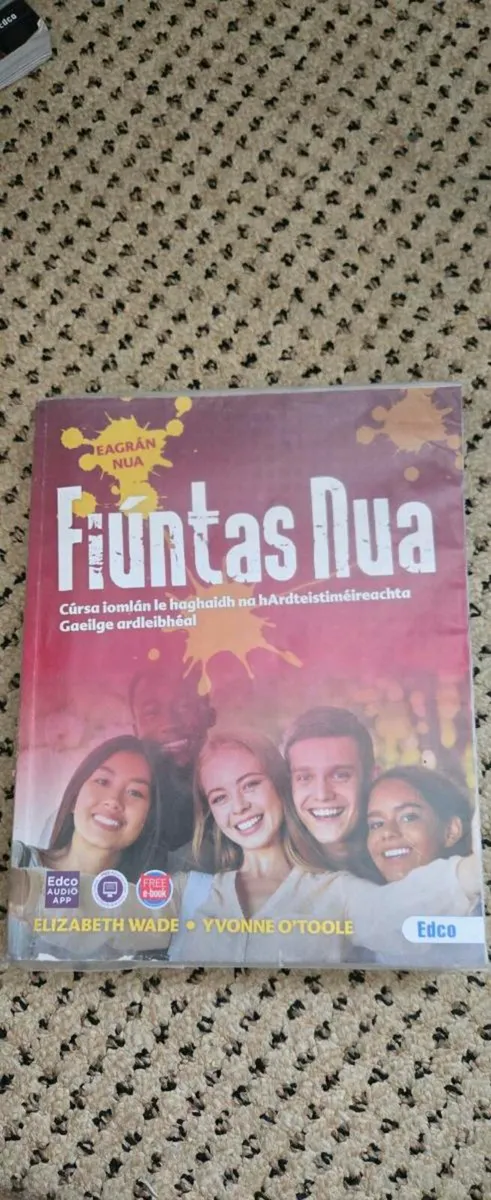 LC Irish Textbook - Image 2