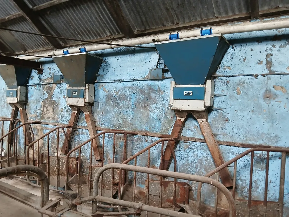 Orbi double feeders - Image 1