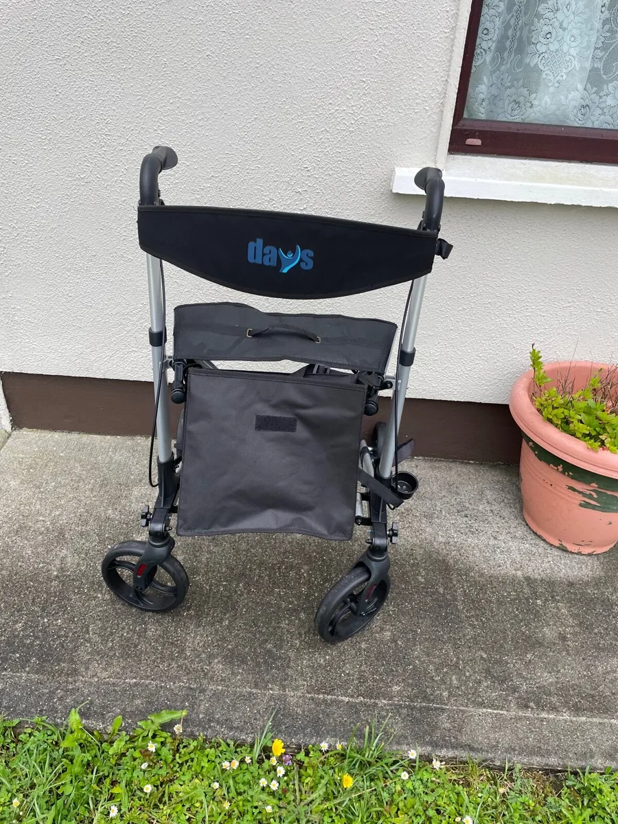 Walking/Mobility Aid - Image 1