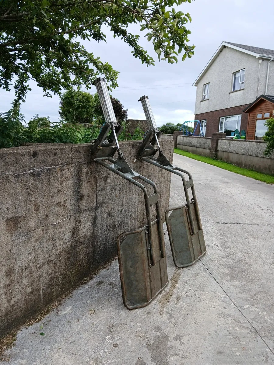 Out of parlour backing gates - Image 3