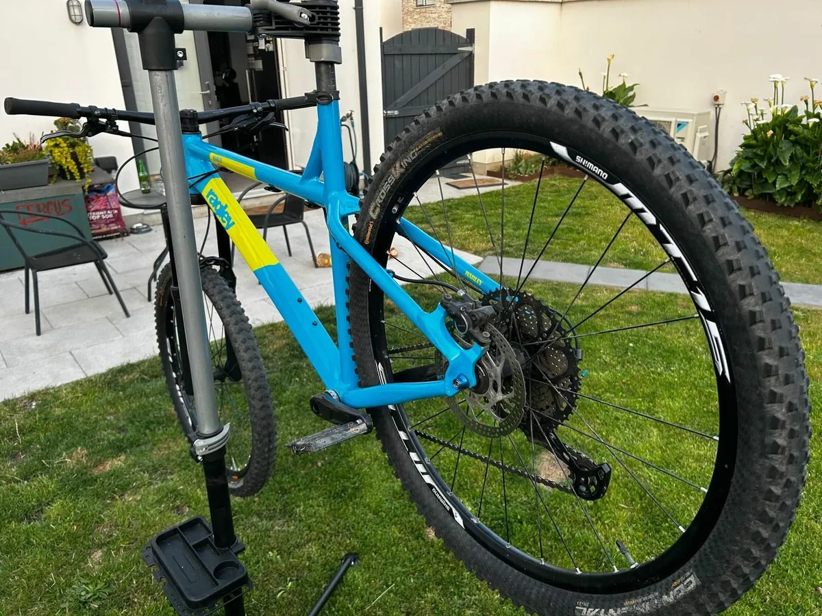 2019 Ragley Marley (Size:XL) - Image 2