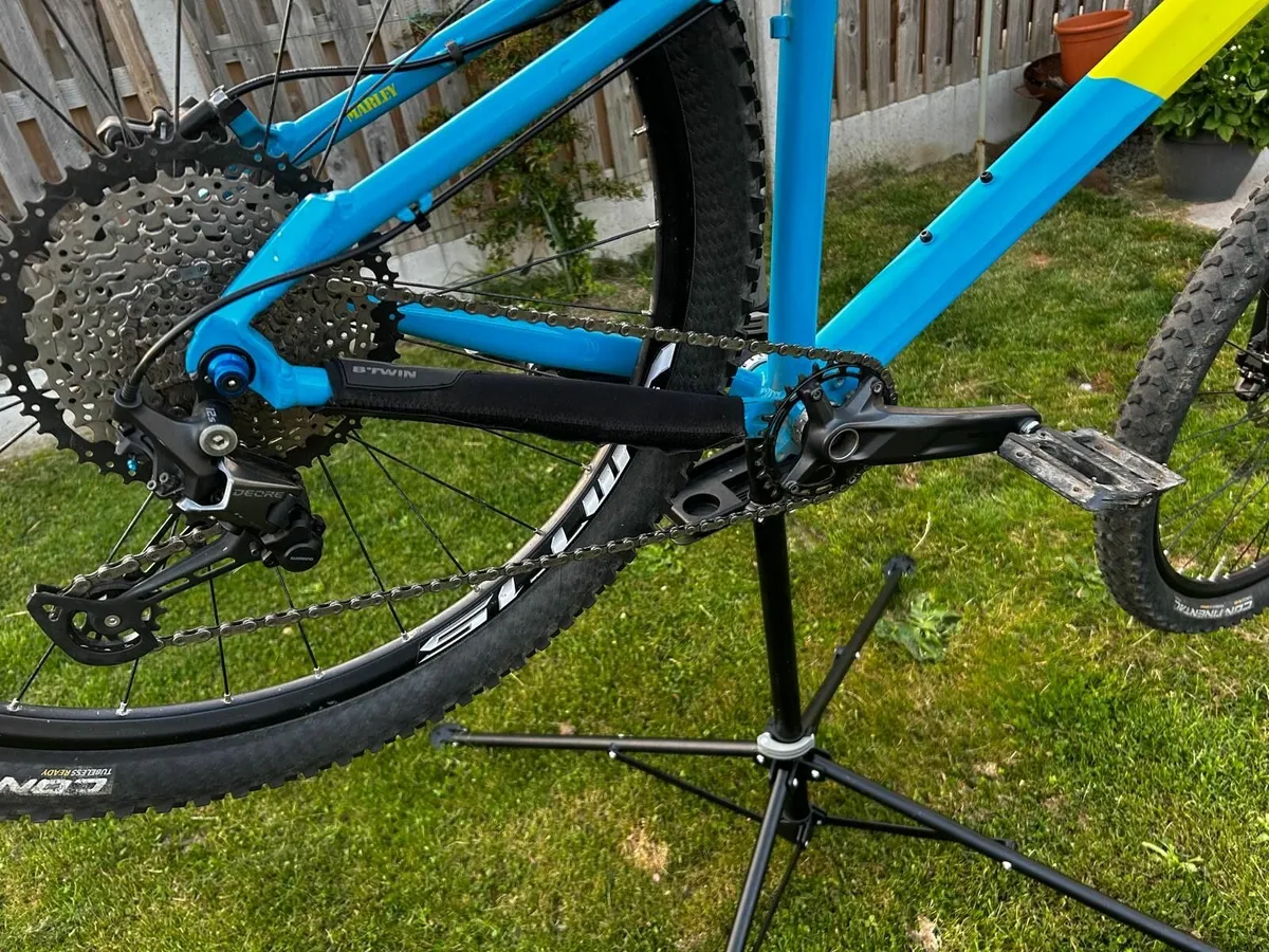 2019 Ragley Marley (Size:XL) - Image 3