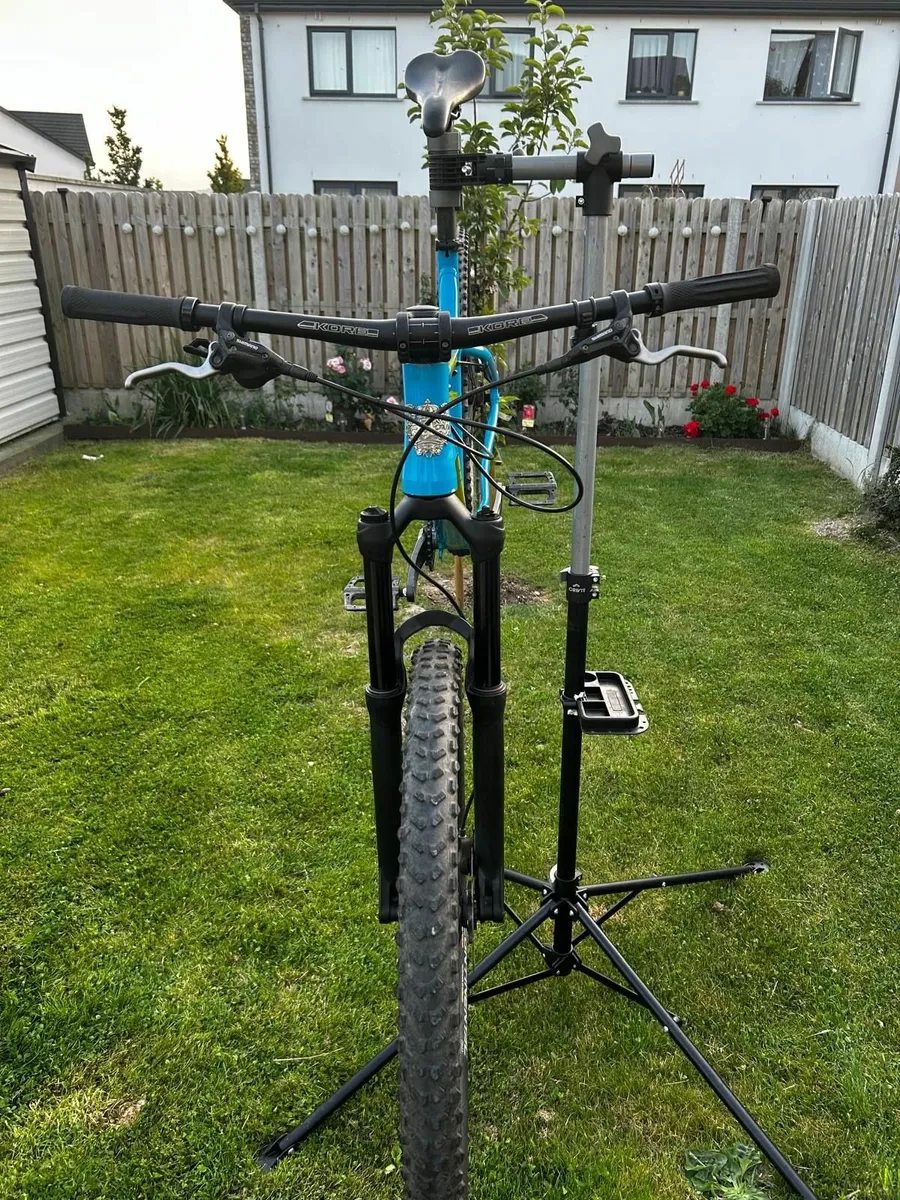 2019 Ragley Marley (Size:XL) - Image 4