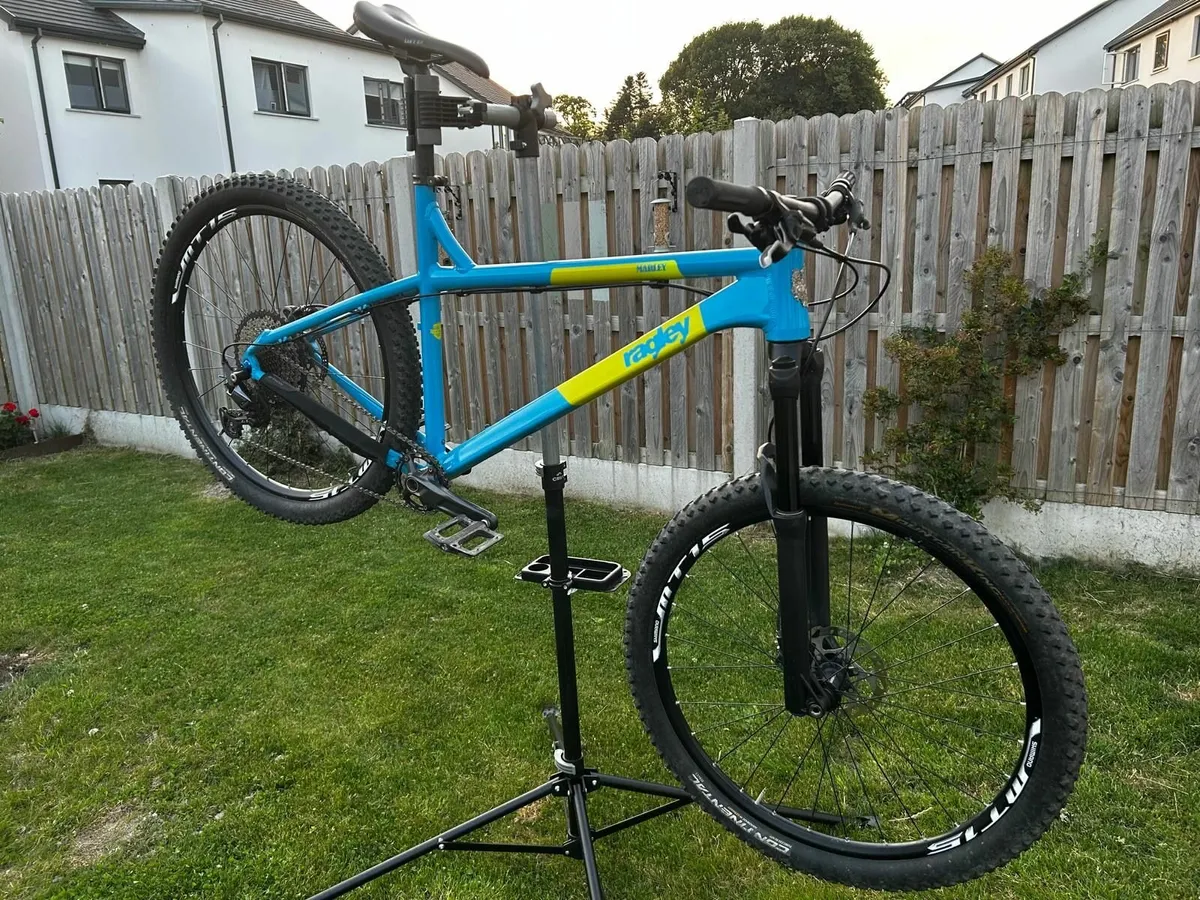 2019 Ragley Marley (Size:XL) - Image 1