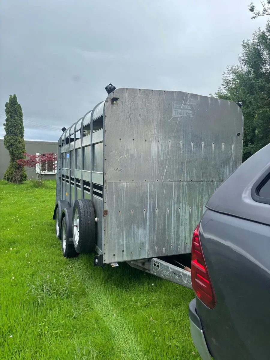 Iforwilliams cattle trailer - Image 1