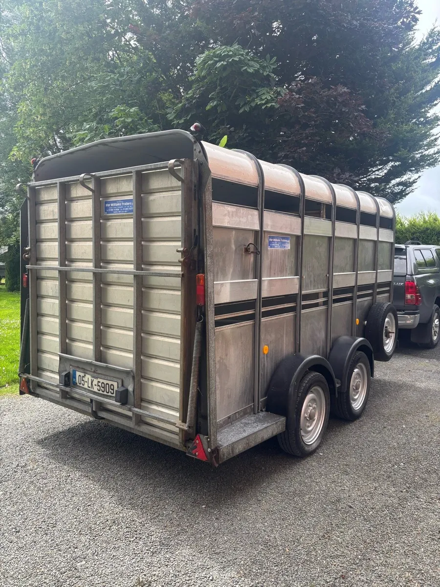 Iforwilliams cattle trailer - Image 3
