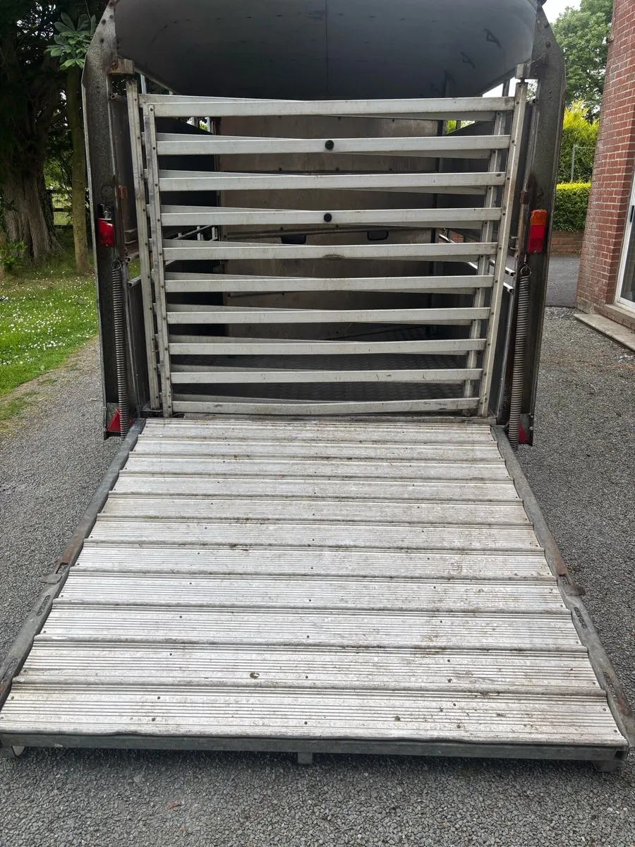 Iforwilliams cattle trailer - Image 4