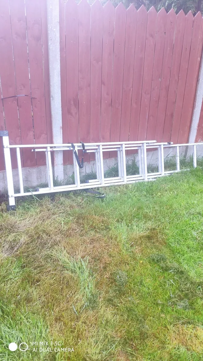 Extension Ladder
