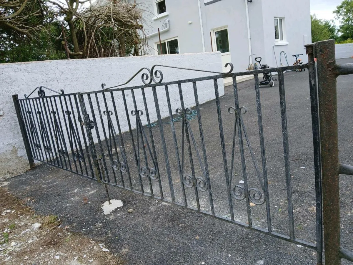 12 ft Gates - Image 1