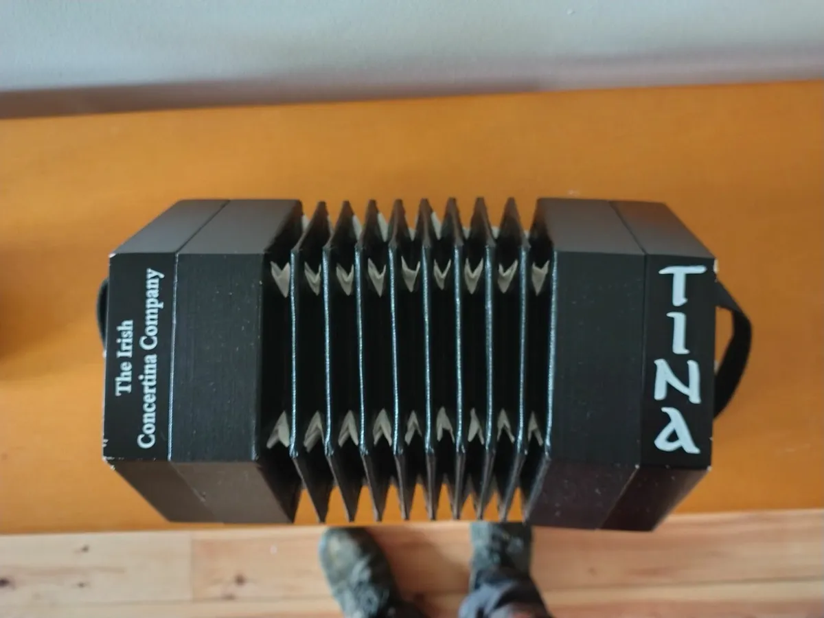 Concertina - Image 3