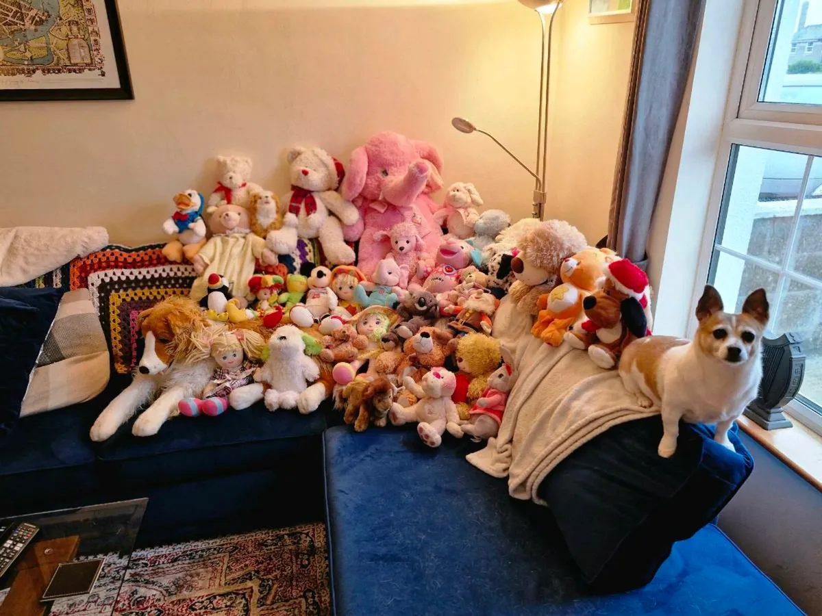 Teddys - Image 1