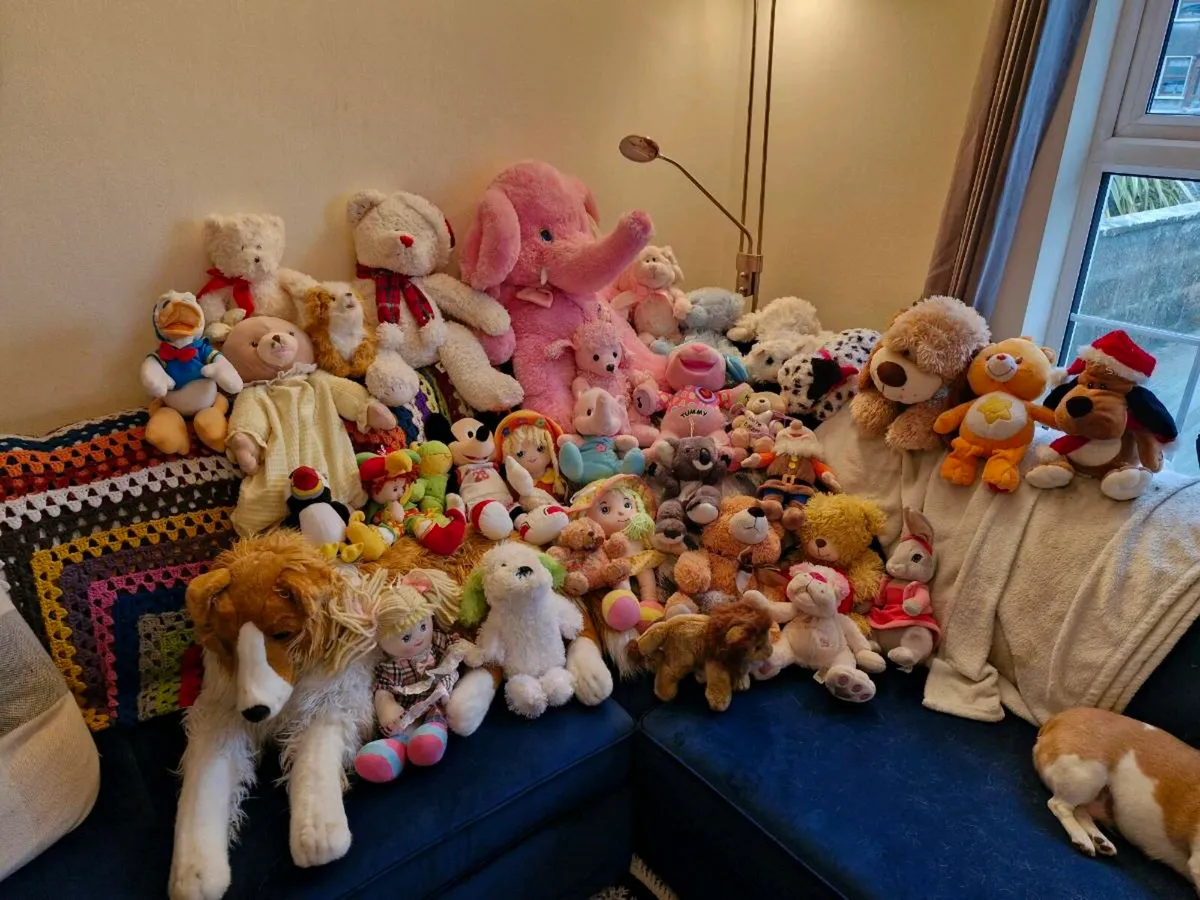 Teddys - Image 3