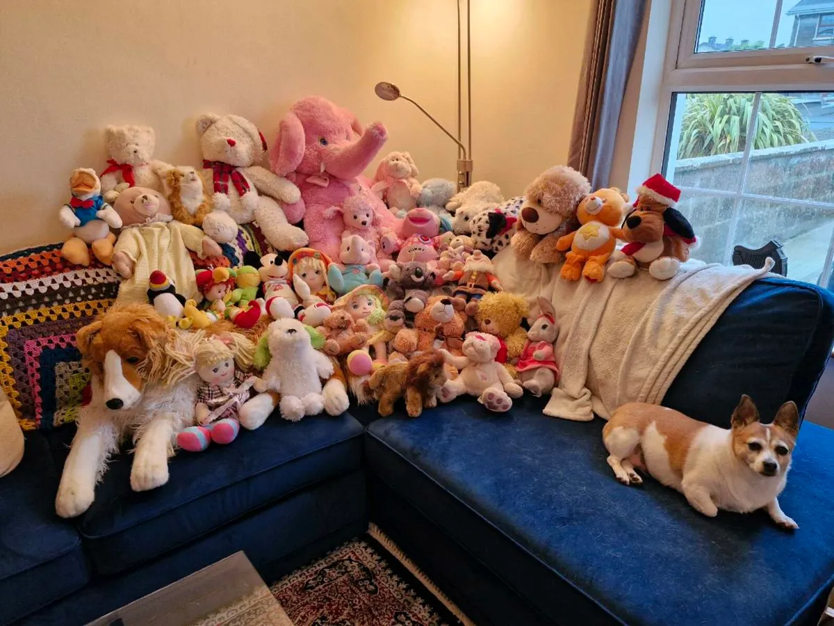 Teddys - Image 4