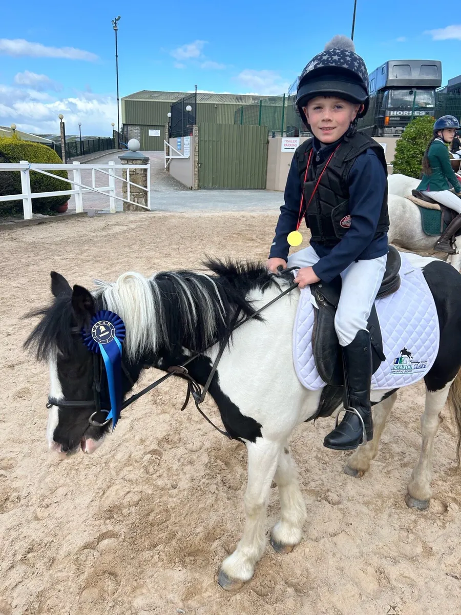 Super 12hh  5 year old kids pony - Image 1