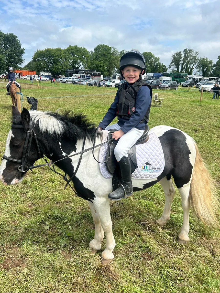 Super 12hh  5 year old kids pony - Image 3