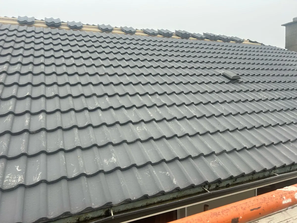 Roof tiles - Image 2
