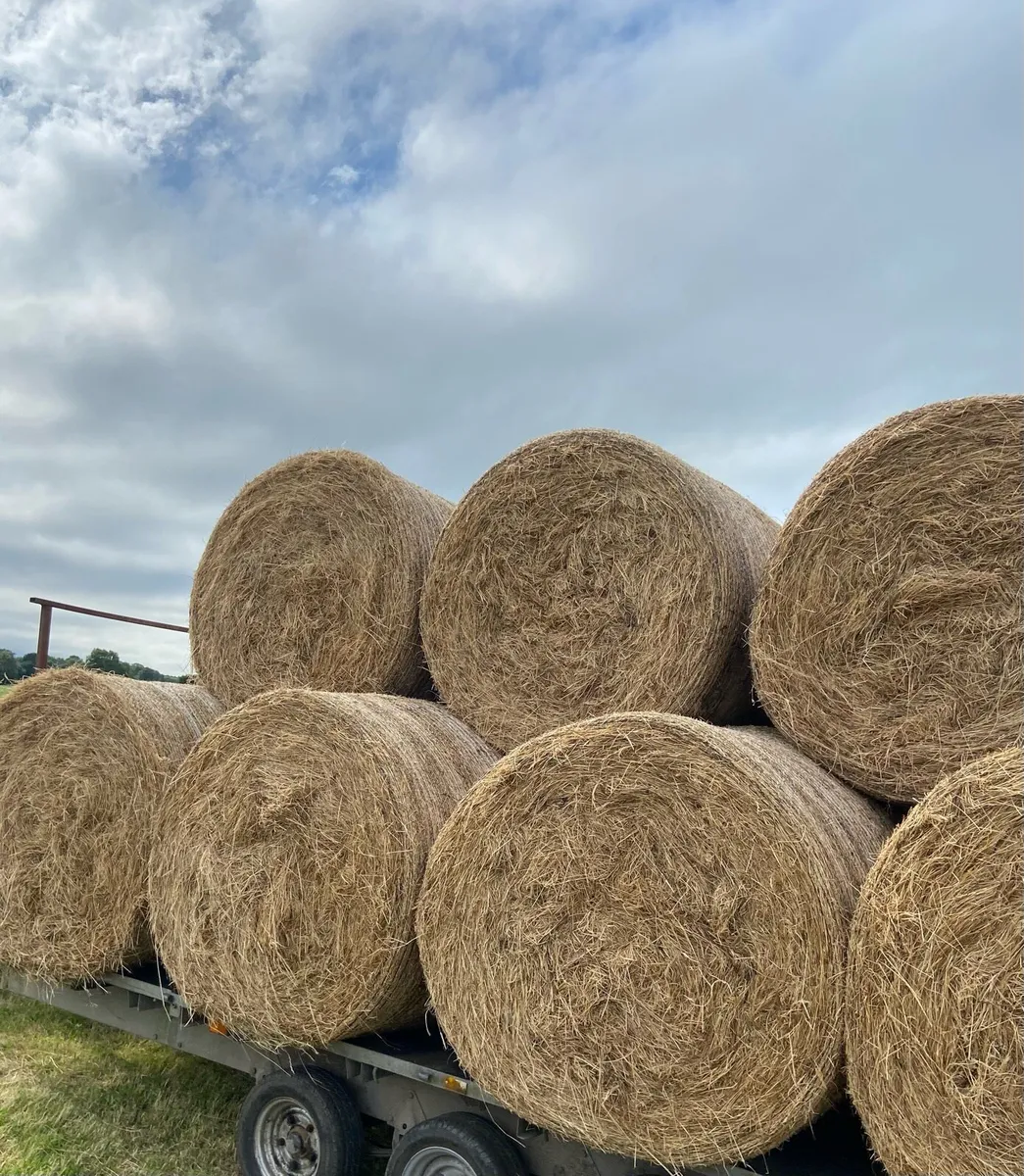Hay Round Bales - Image 1