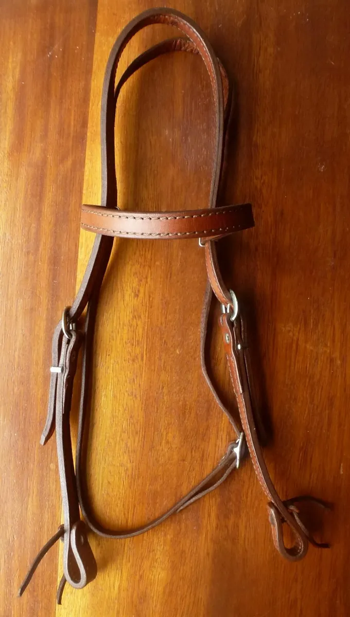 Western Bridles ( Headstall), Reins and Bits - Image 2