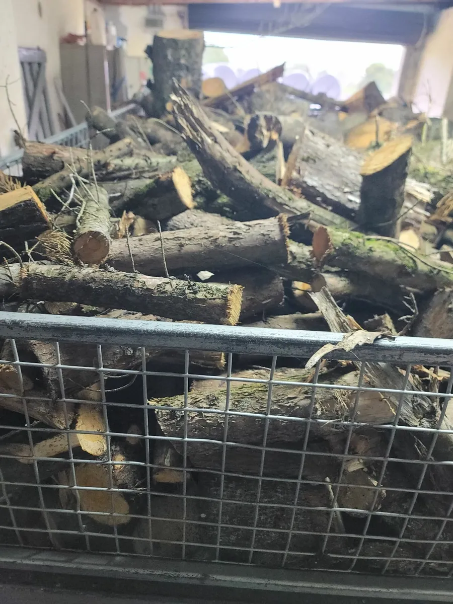 Load of timber - Image 3