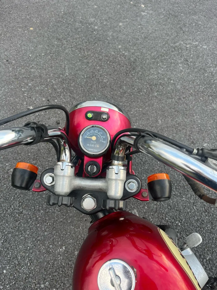 honda Monkey - Image 2