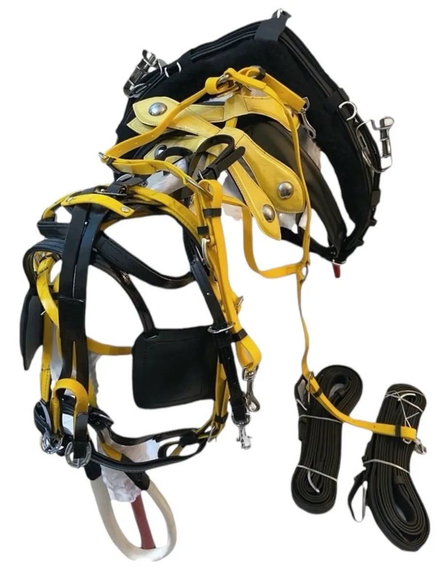 Harness - Image 3