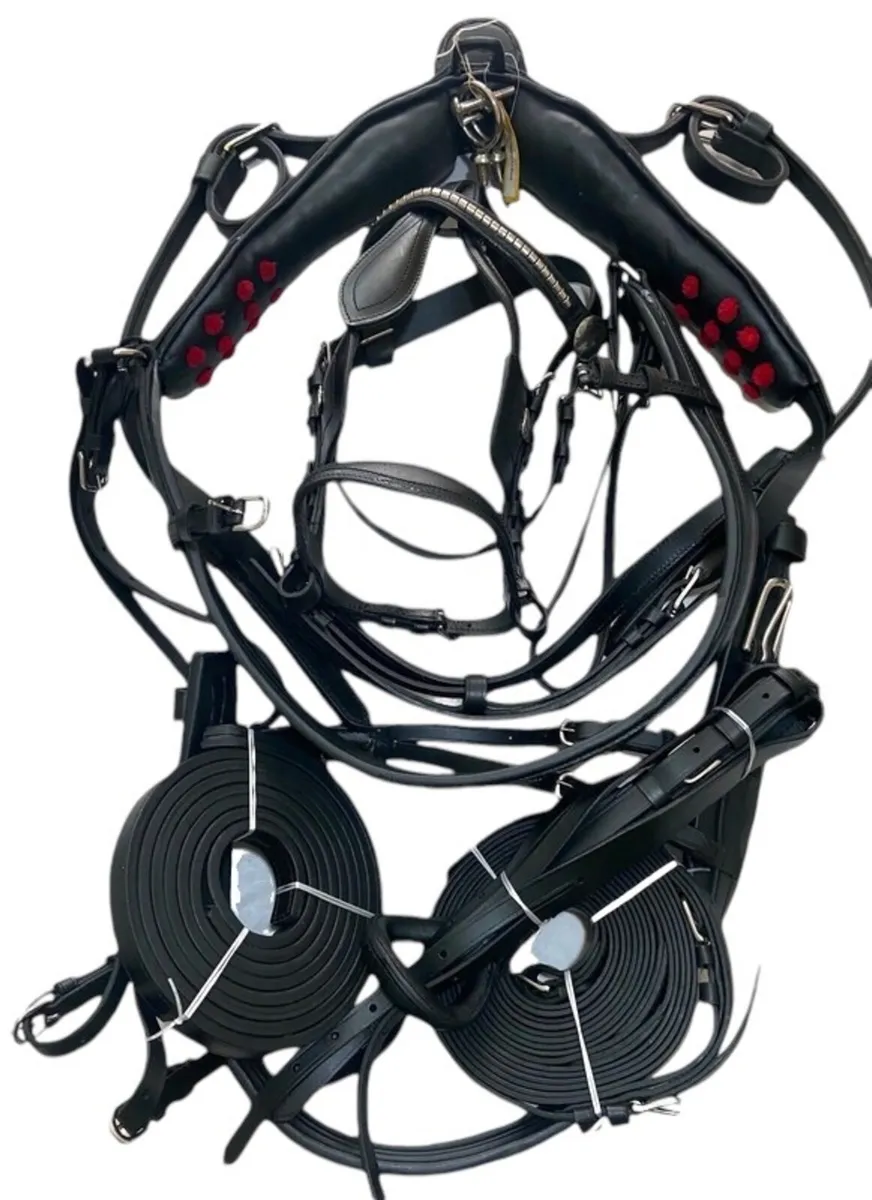Leather driving harness - Image 2