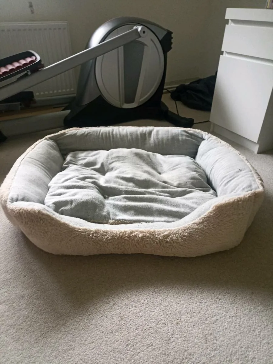Xtra large dog bed