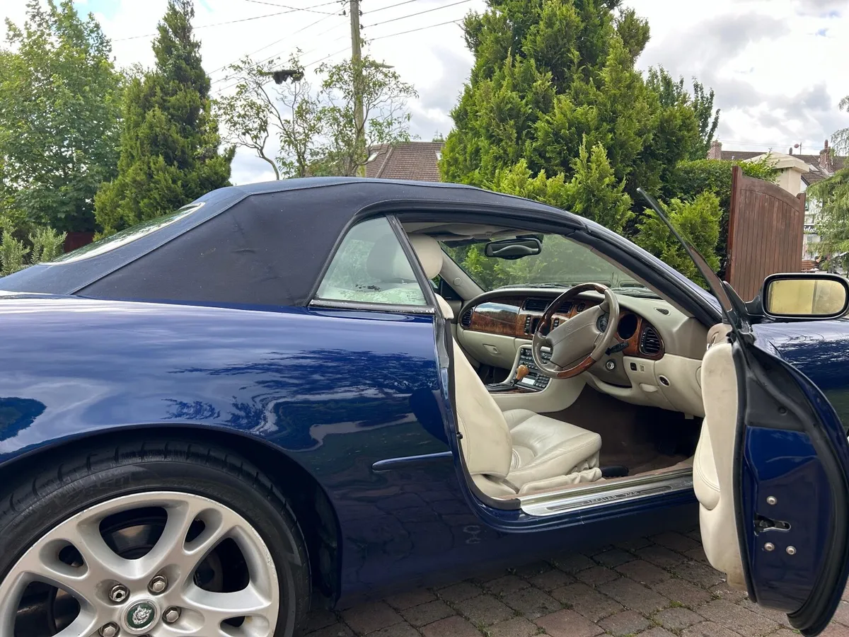 Jaguar XK8 - Image 2