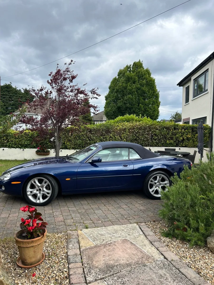 Jaguar XK8 - Image 3
