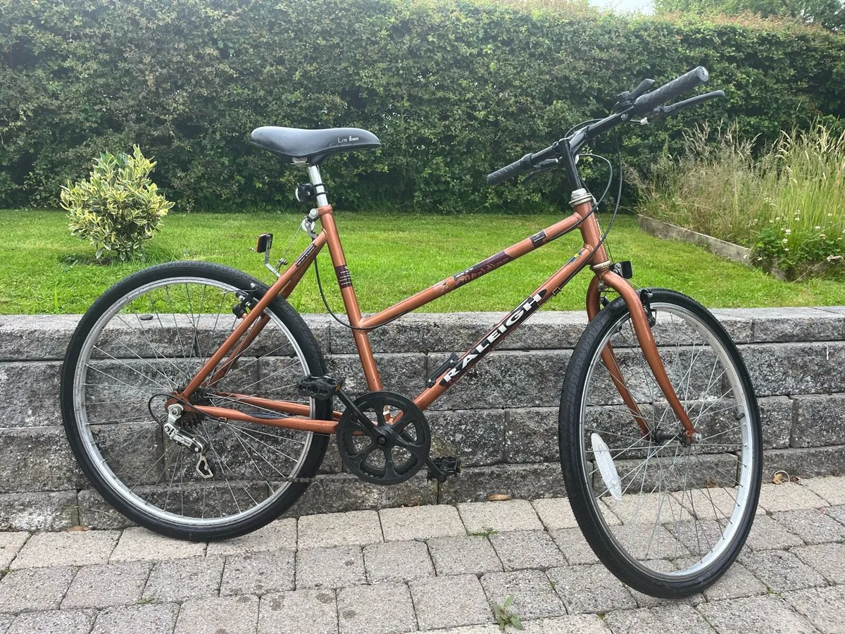 Hybrid commuter bike - Image 1
