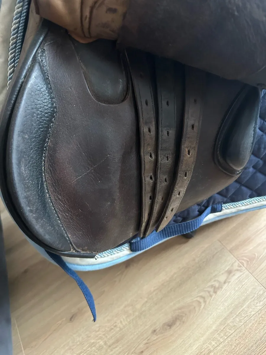 16” saddle - Image 3