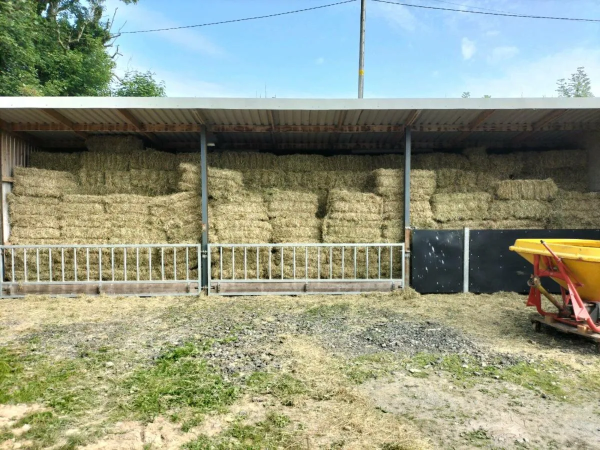 Hay for sale - Image 2