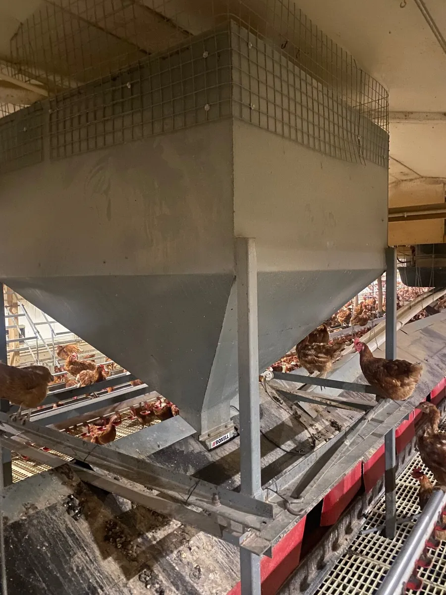 Poultry Equipment - Image 4