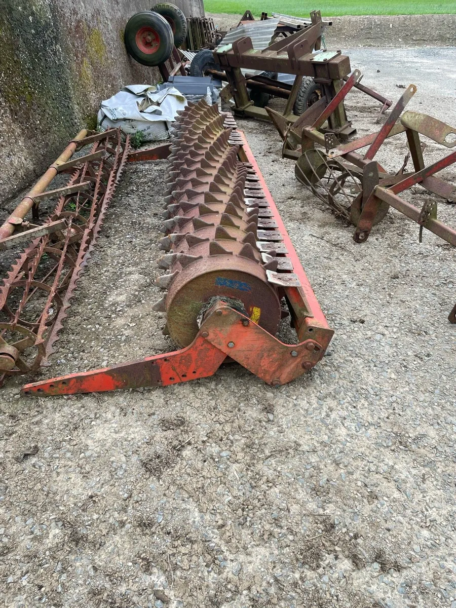 Yard clearance - Image 1
