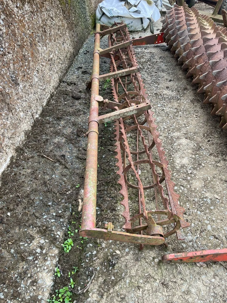 Yard clearance - Image 3
