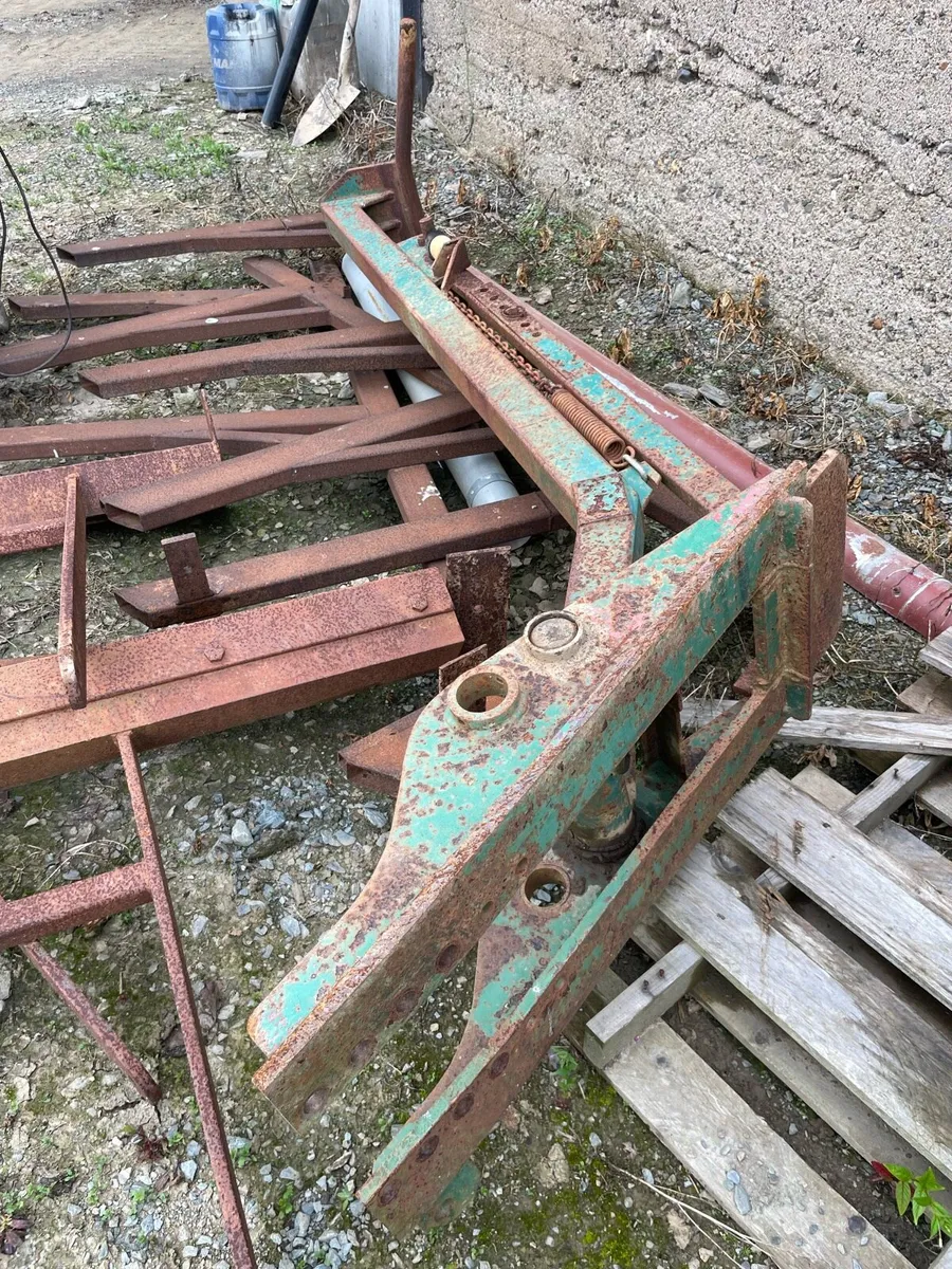 Yard clearance - Image 4