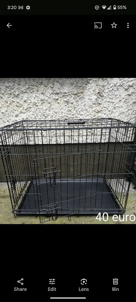 Dog accessories - Image 3