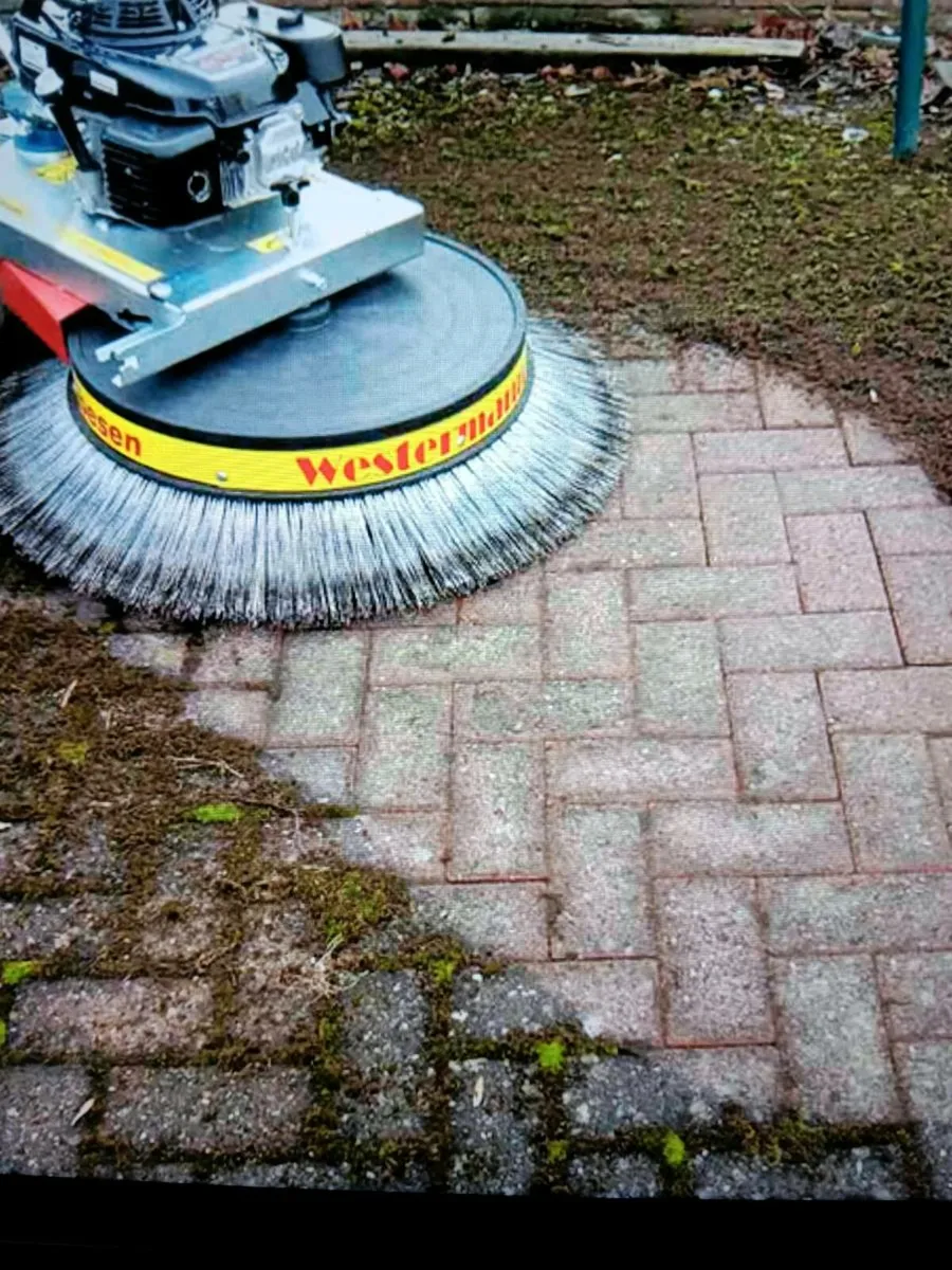 Westermann Honda Moss Brush - Image 3