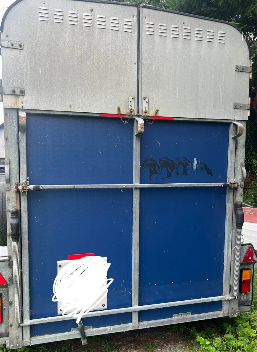 Horse box open to offers - Image 3