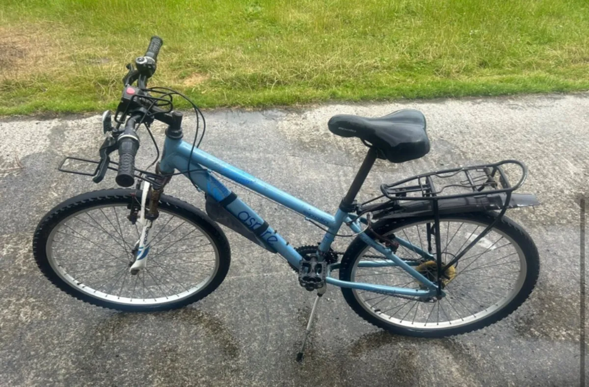 Bicycle - Image 1