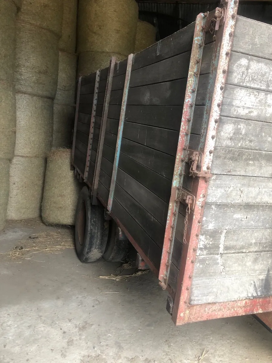 Treacy Corn trailer - Image 1