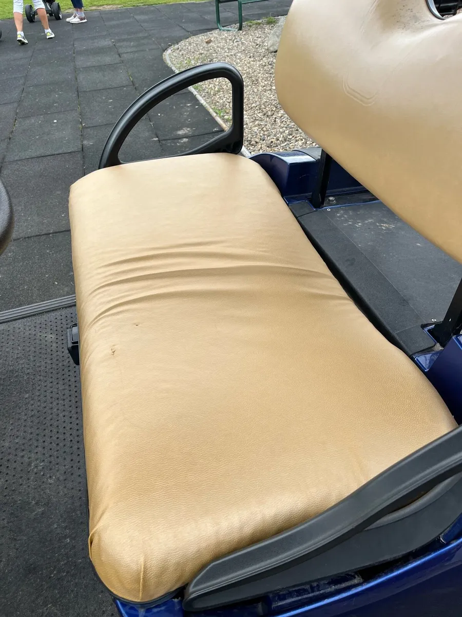 Ezgo battery buggy - Image 3